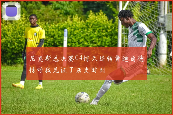 尼克斯总决赛G4惊天逆转费迪南德惊呼我见证了历史时刻